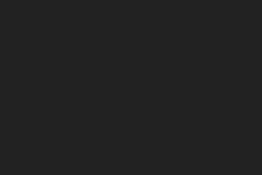Flow-trail berm (placeholder)